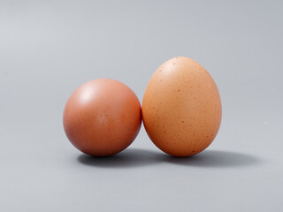 agricultural products chicken egg elite natural on a gray background