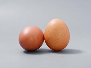 agricultural products chicken egg elite natural on a gray background