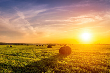 A field with haystacks on a summer or early autumn evening with a cloudy sky in the background....