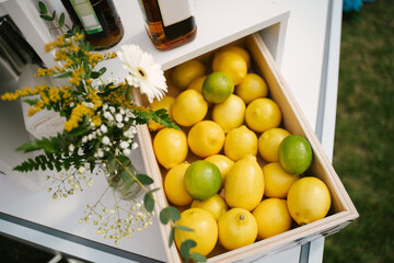 Festive decoration. Beautiful wedding decor with white flowers, lemons, outdoors. Rustic, top view