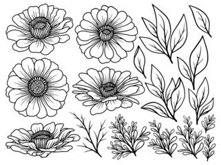 Hand drawn flower sketch line art illustration set.