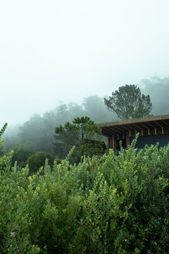 Sustainable Nature Hotel in Sintra Portugal Corc Architecture 