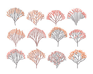 Set of autumn deciduous trees in line art style. Isolated stylized autumn trees. Flat vector illustration.