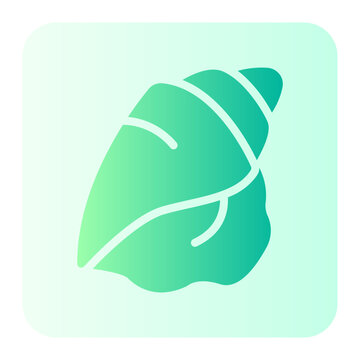 Shell gradient icon