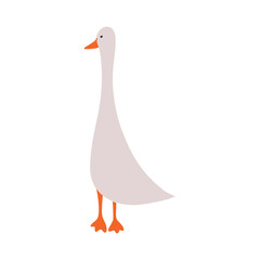 Cute gray goose illustration in flat style. Isolated on white background. Use in children's books 