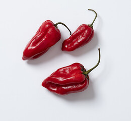 red hot chili peppers