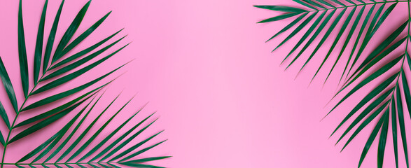 Fototapeta na wymiar Green leaves of palm tree on bright pink pastel background, Tropical green palm leaves , Top view minimal concept. Flat lay.