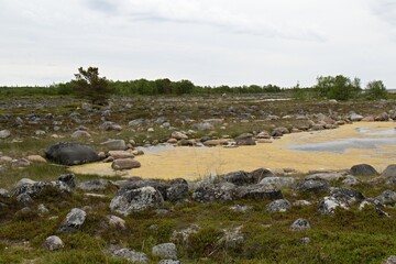 View of Bolshaya Muksalma Island and White Sea.Solovetsky Islands. Russia.