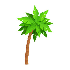 Palm tree tropical element in cartoon style isolated on white background. Jungle nature, exotic plant. 