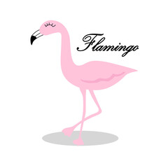 vector pink flamingo with letters on white background. flamingo icon