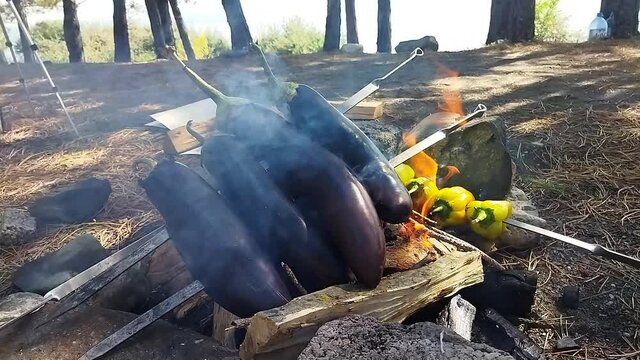 Cooking green peppers and eggplant over the fire. In the forest we are preparing a dish with eggplants and peppers on the fire. Bon appetite. Cook