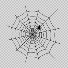 Obraz premium Spider web with black spider for Halloween on the transaprent background. Vector