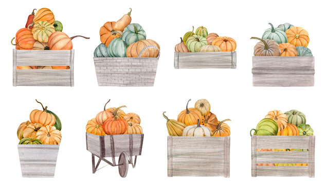 watercolor autumn design elements, fall, holiday clip art isolated on white background.