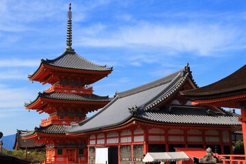 Fototapeta premium Japanese pagoda in Kyoto, Japan