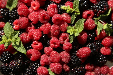 Background of raspberries and blackberries with mint. Healthy eating concept