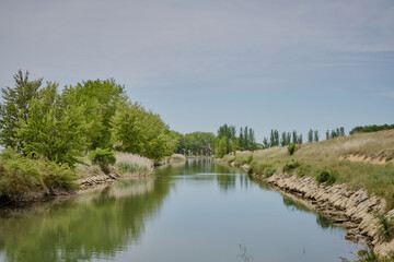 lake and trees