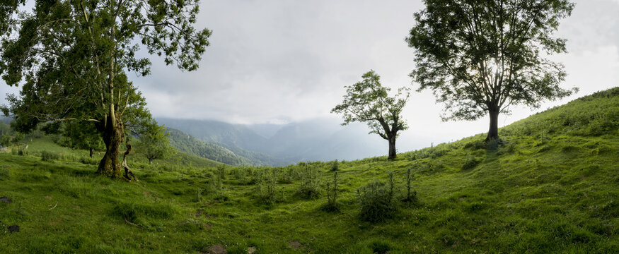 Scenic landscape of green forested mountains and clouds