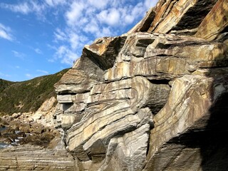 フェニックス褶曲