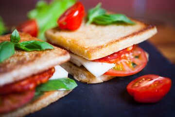 Toast sandwich with salami, cheese, tomato, and herbs.