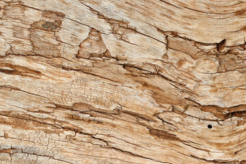 Naklejka na ściany i meble Wood texture background (selective focus)