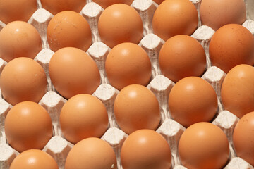 Group of raw brown eggs. Top view.