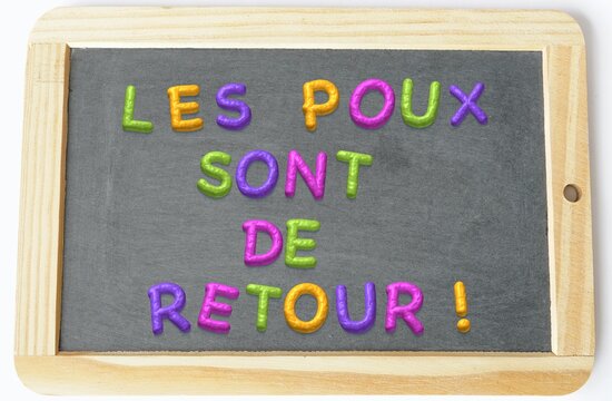 poux de retour ardoise