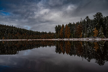 Fototapeta premium reflection of trees on lake in autumn