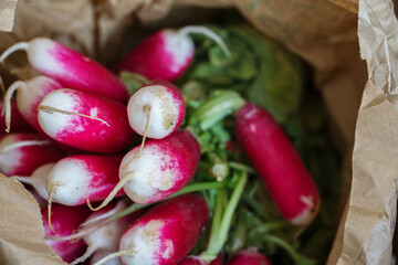 Bunch of fresh radishes inside the paper bag