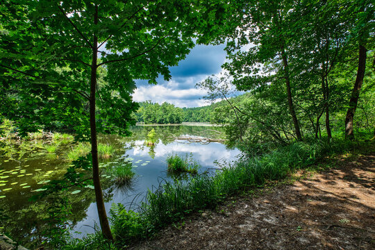 Der "Schulzenwasser"-See am Wanderweg durch den brandenburgischen Naturpark Schlaubetal