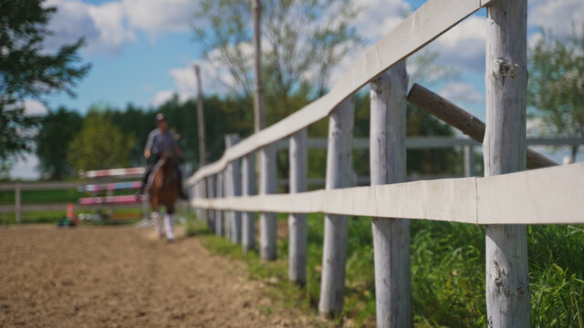 a blurred young woman and a brown horse ride along a wooden fence. High-quality photo