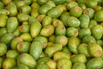 Set of green tunas in the market. Agriculture concept.