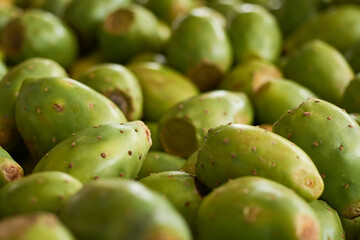 Set of green tunas in the market. Agriculture concept.