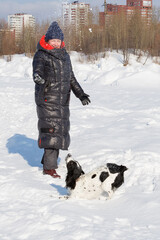 A woman of European appearance, middle-aged walks on a weekend outside the city with a dog of the hunting breed "Russian Spaniel" on a clear winter day.