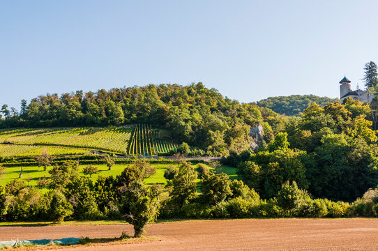 Arlesheim, Schloss Birseck, Weinberg, Landwirtschaft, Burg, Obstb&auml;ume, Ermitage, Wanderweg, Wald, Waldweg, Sommer, Schweiz