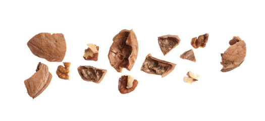 Pieces of walnut and shell falling on white background