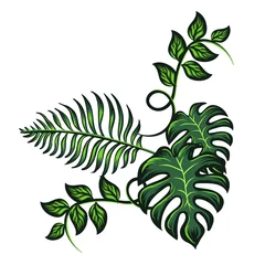 Stickers pour porte Monstera feuille tropicale verte