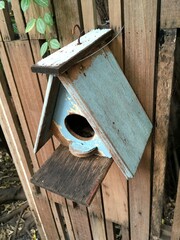 bird home in nature garden
