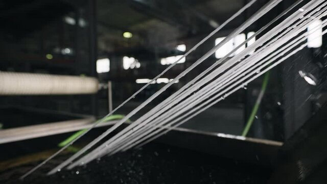 Extrusion production of plastic compounds. The strands are cooled before pelletizing.