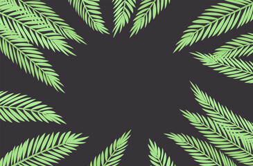 Fototapeta na wymiar Palm tree on dark background, copyspace for tropical themed card decor. Green tropical leaves, jungle hawaiian branches, plant greenery flora decorative elements for island party. Vector illustration