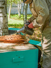 A beekeeper holds a honey cage with bees in his hands. Apiculture. Topiary