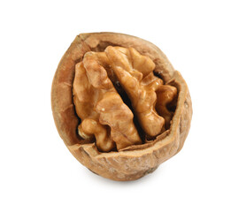 Tasty walnut in shell isolated on white