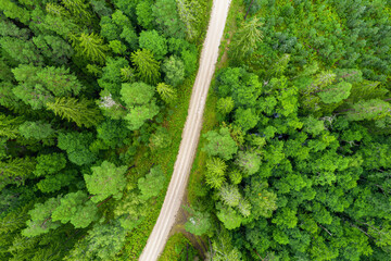 Aerial full frame view from drone of idyllic country road leading through gallant pine and birch forests in dark green colors in cloudy rainy weather 