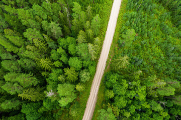 Aerial full frame view from drone of idyllic country road leading through gallant pine and birch forests in dark green colors in cloudy rainy weather 