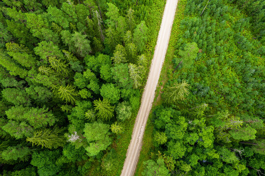 Aerial full frame view from drone of idyllic country road leading through gallant pine and birch forests in dark green colors in cloudy rainy weather 