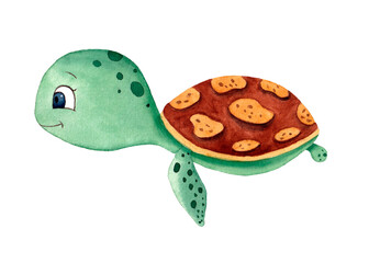 Cute little sea turtle. Watercolor hand drawn illustration on the white background. Undersea animal
