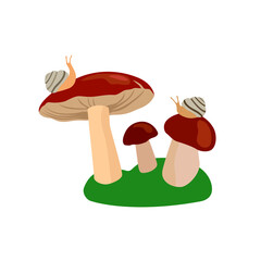 Cartoon flat vector illustration mushrooms in the grass.
