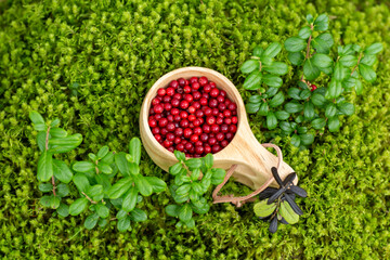 Fresh red lingonberries in a wooden mug on soft moss carpet in the woods. Delicious and healthy...