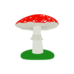 Cartoon flat vector illustration mushroom amanita.