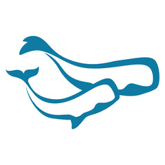 whales, vector