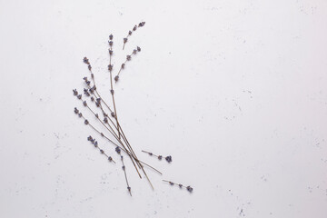 Sprigs of dried lavender on a white background
